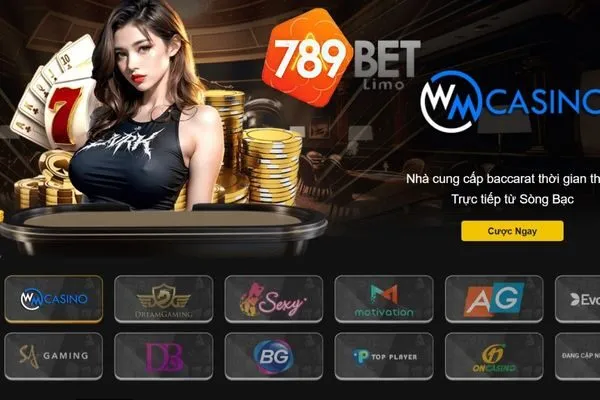casino-bibox.us.com